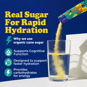 Rebel Aid Lemon/Lime Electrolyte Drink Powder (14 sticks)